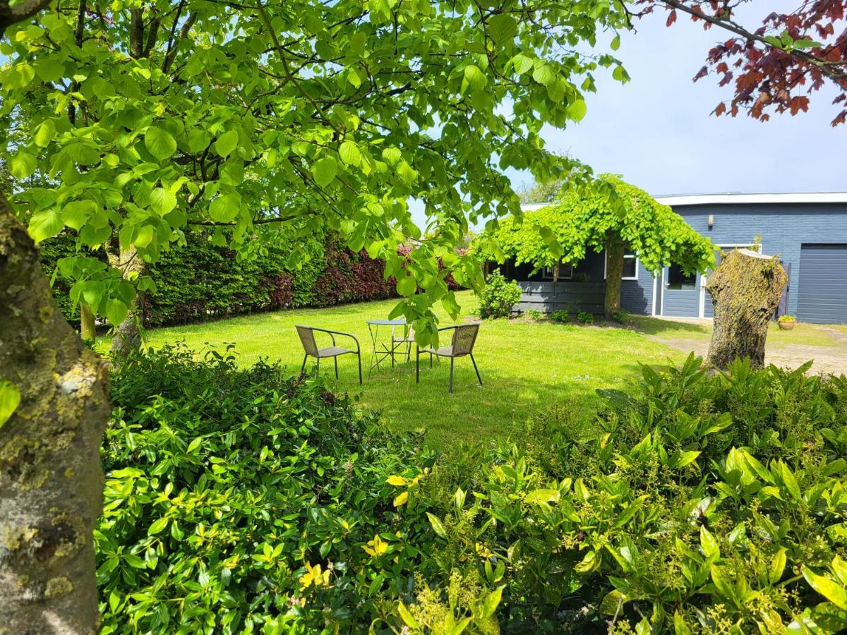 Luxe Bloemenzicht 4 Personen, Bnb, 10 Minuten Van Zee Breezand Bagian luar foto
