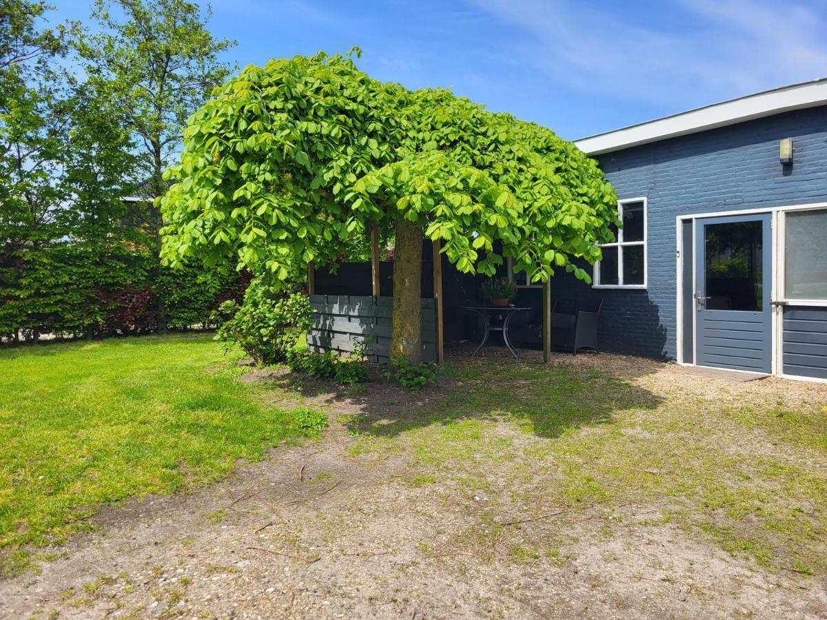 Luxe Bloemenzicht 4 Personen, Bnb, 10 Minuten Van Zee Breezand Bagian luar foto